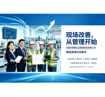 企业现场管理咨询服务